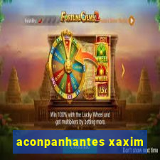 aconpanhantes xaxim